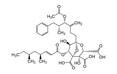 PA 26 30000