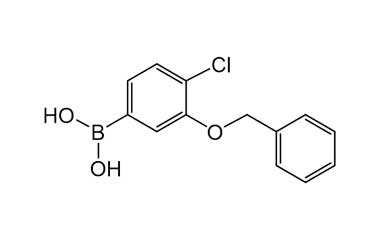 1007170-24-2