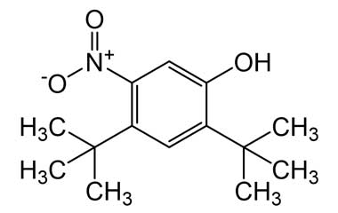 KRU CA - Cetearyl alcohol CAS 8005-44-5 Cosmetic Raw Material Emulsifying  Wax at Rs 225/kg, Cosmetic Raw Material in Rajkot