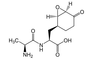 29393-20-2