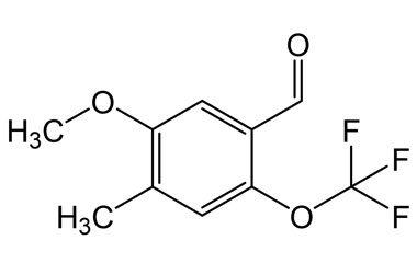 2169005-12-1