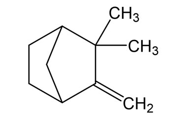 79-92-5