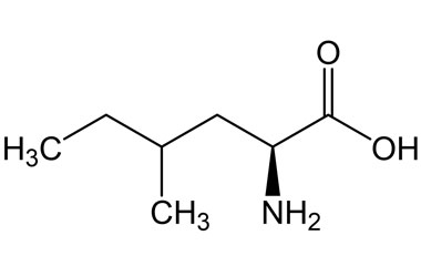 19833-02-4