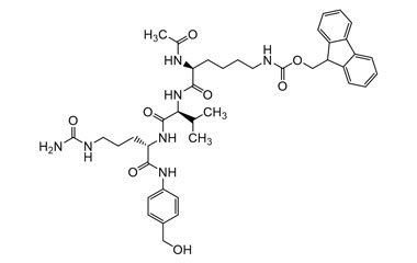 (9H-Fluoren-9-yl)methyl ((S)-5-acetamido-6-(((S)-1 PA 27 0032049