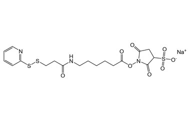 2,5-Dioxo-1-((6-(3-(pyridin-2-yldisulfaneyl)propan PA 27 0032185