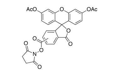 PA 27 01030