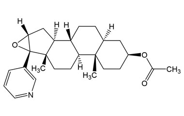 PA 28 0261015