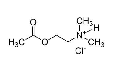 PA 28 17020