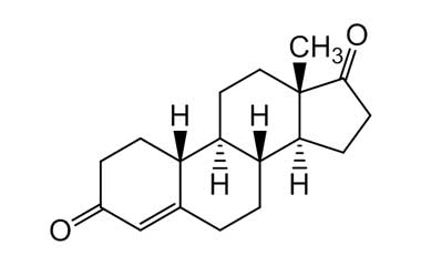 PA 29 11000