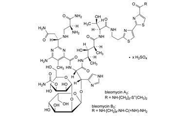 PA 29 49000