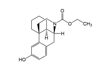 PA 31 0111004