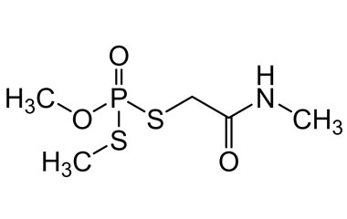 PA 31 0131000