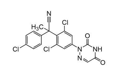 PA 31 0601000