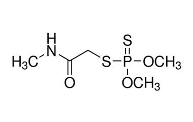 PA 31 13000