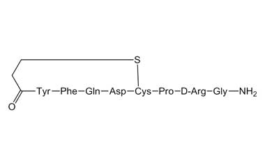 PA 31 51010