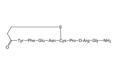 PA 31 51020