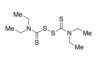 PA 31 55000