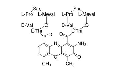 PA 31 63000