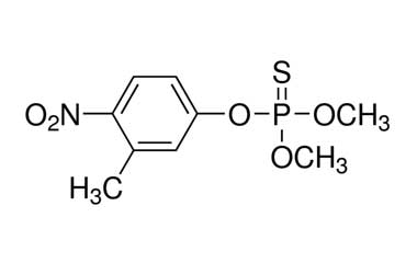 PA 33 02000