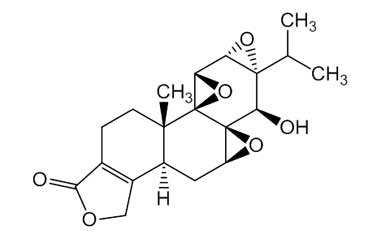 PA 73 24000