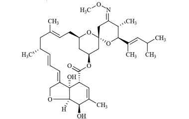 PA BSC 0244001028