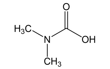 N,N-Dimethylcarbamic Acid (BSC) 7260-94-8