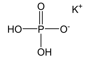 PA BSC 2670201047