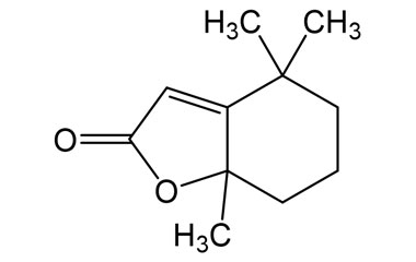 PA BSC 2670201096