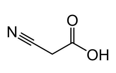 PA BSC 2670201099