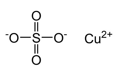 PA BSC 2670201127