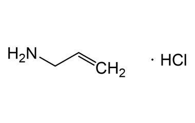 PA BSC 2670201140