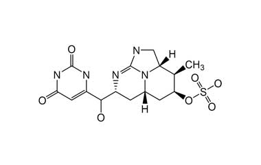 PA ENV 000082