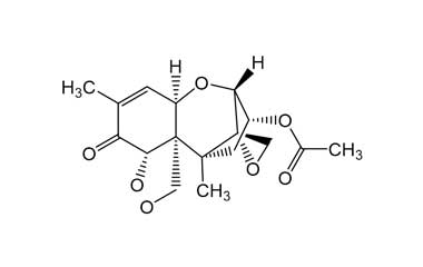 PA ENV 000106