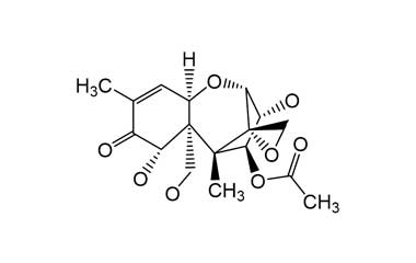 PA ENV 000128