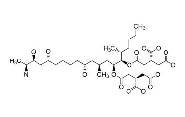 PA ENV 000133