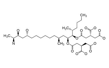 PA ENV 000139