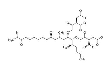 PA ENV 000145