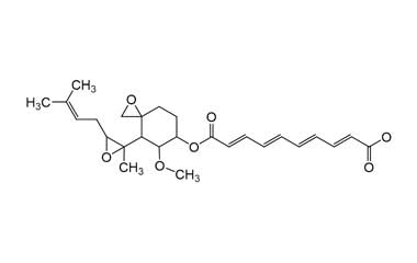 PA ENV 000149