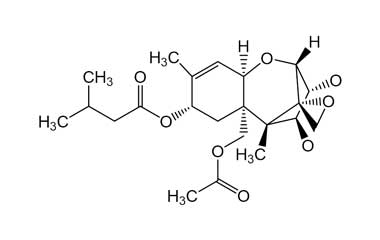 PA ENV 000152