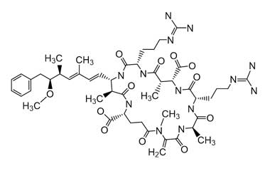 PA ENV 000162