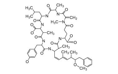 PA ENV 000170