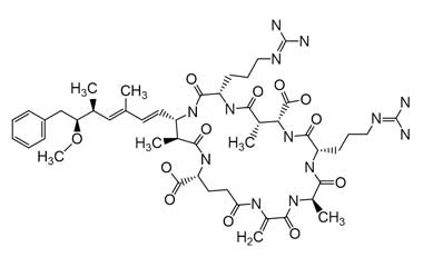 PA ENV 000173