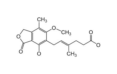 PA ENV 000203