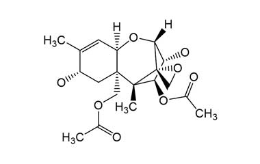 PA ENV 000216