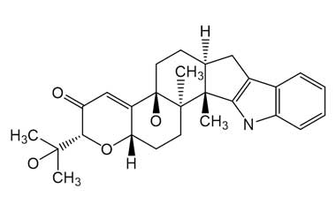 PA ENV 000247