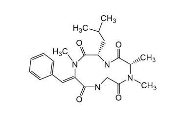 PA ENV 000279