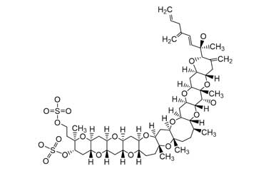 PA ENV 000284