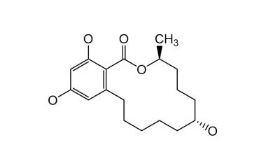 PA ENV 000300