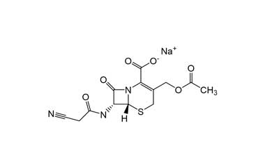 PA ENV 000383