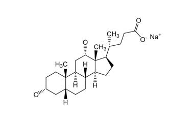 PA ENV 000412